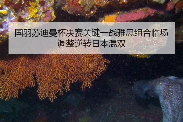 国羽苏迪曼杯决赛关键一战雅思组合临场调整逆转日本混双